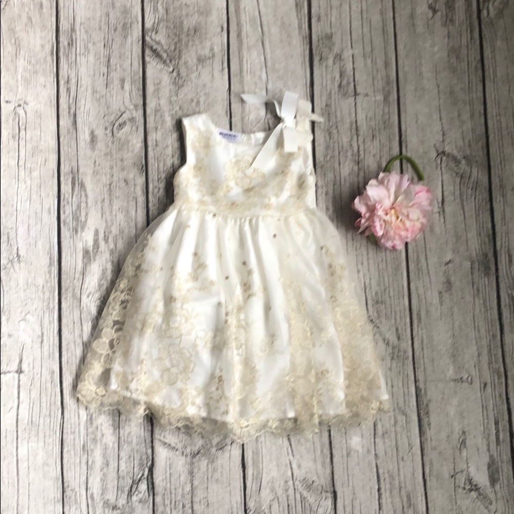 Beautiful Princess Dress 24 months